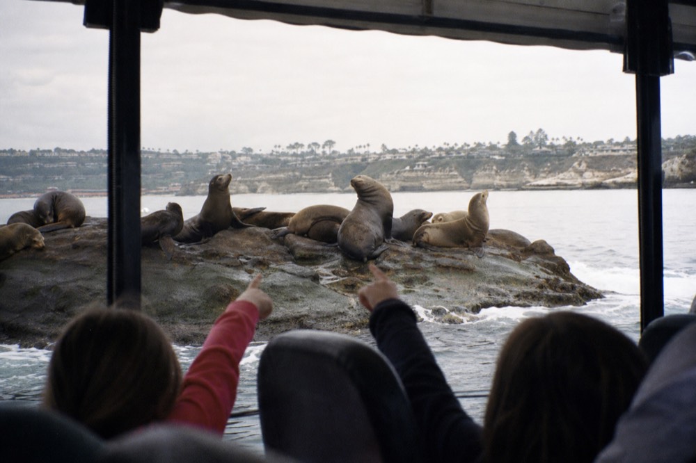 Children pointing at sea lions from inside an open amphibious SEAL Tour vehicle on San Diego Bay