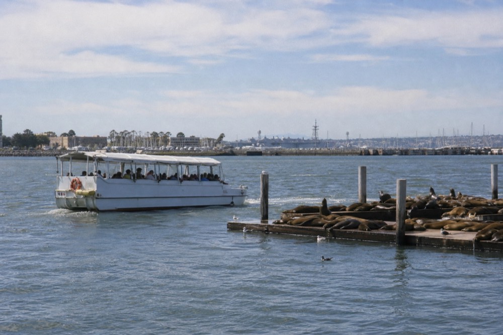 An amphibious tour vehicle afloat near sea lion docks in San Diego Bay, late-morning light