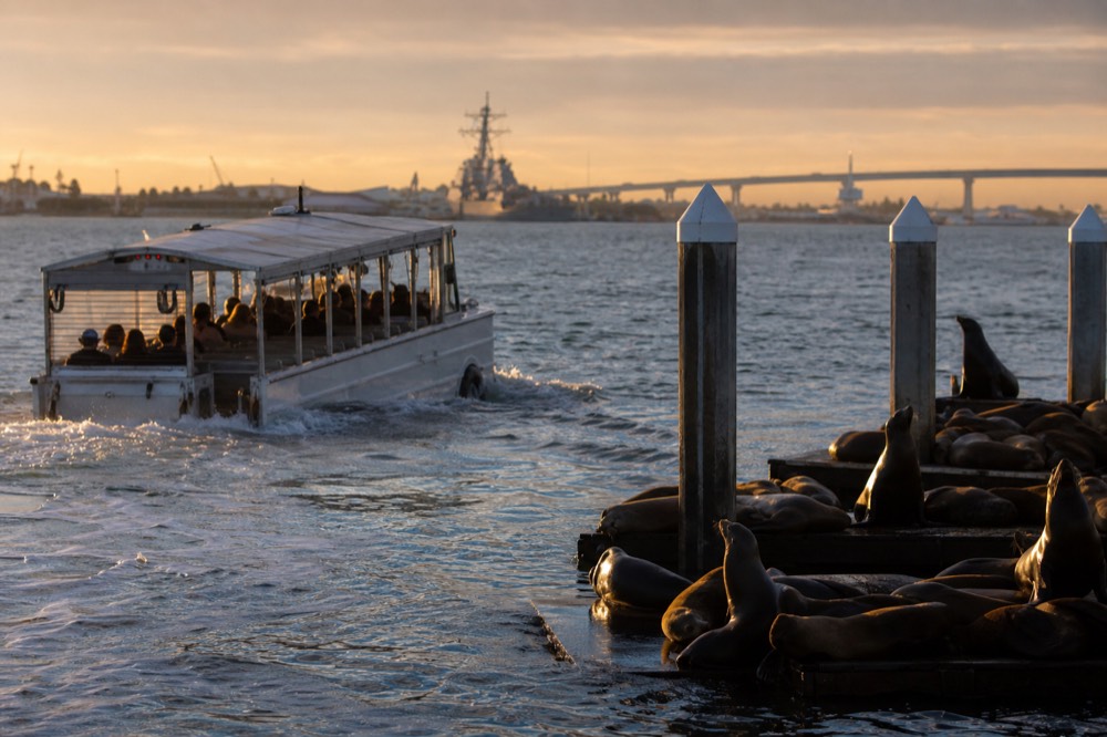 An amphibious tour vehicle afloat near sea lion docks in San Diego Bay at golden hour, long shadows and warm low light