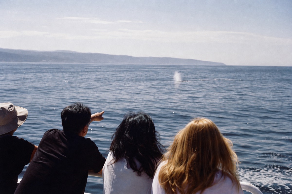 Passengers at the rail of a whale watching boat off San Diego scanning a flat grey Pacific
