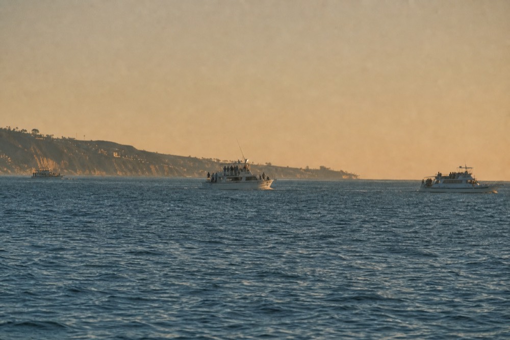 Different whale watching boats on the water off Point Loma at golden hour, long shadows and warm low light