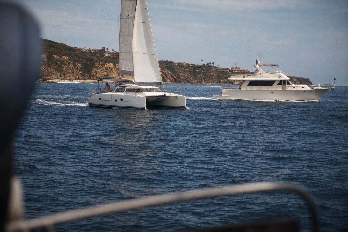 A small sailing catamaran heeling past Point Loma with the open Pacific ahead on a whale watching trip