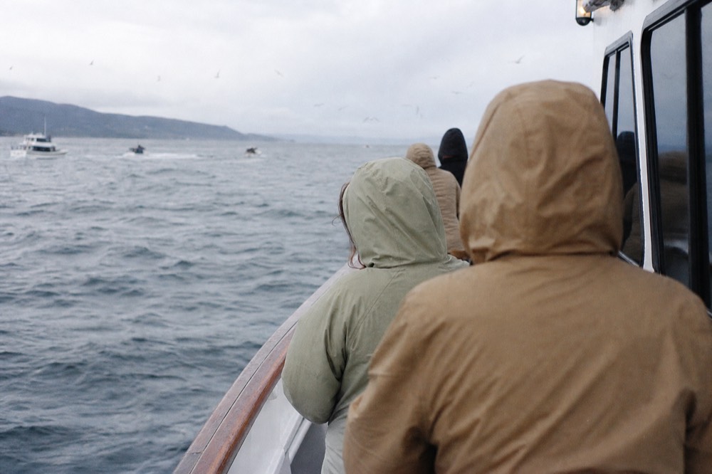 Passengers in light jackets with hoods up at the rail of a San Diego bay cruise boat on a grey overcast morning